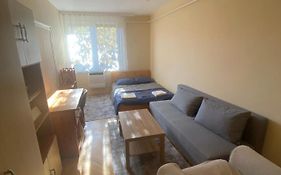 Oeguenc'S Apartment